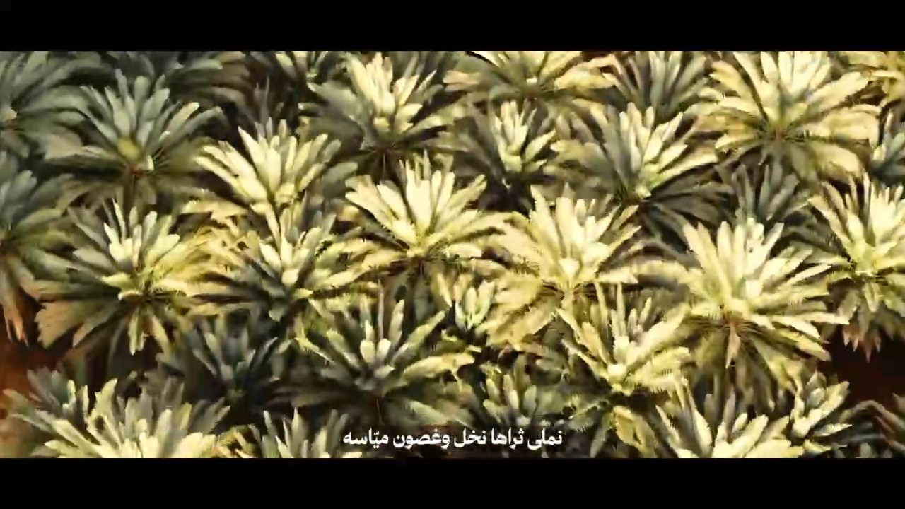 أمانة العاصمة المقدسة | وعز والينا