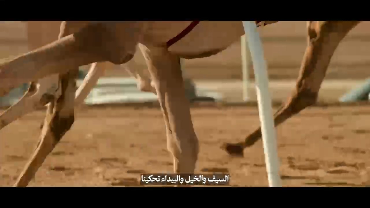 أمانة العاصمة المقدسة | وعز والينا