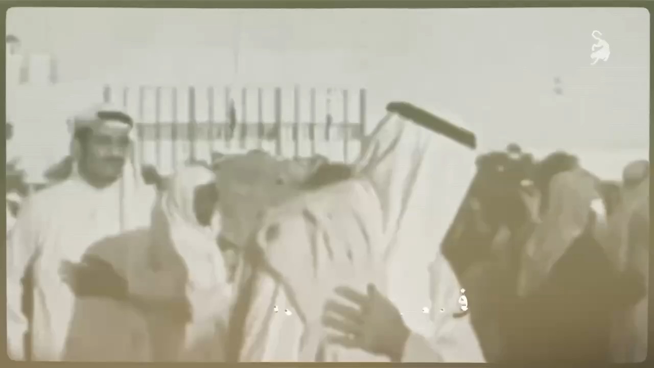 لافيرن | سنام العز