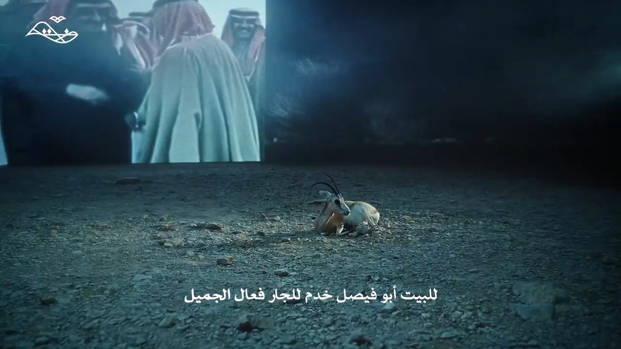 هيئة تطوير محمية الإمام عبدالعزيز بن محمد الملكية | ترثة معزي