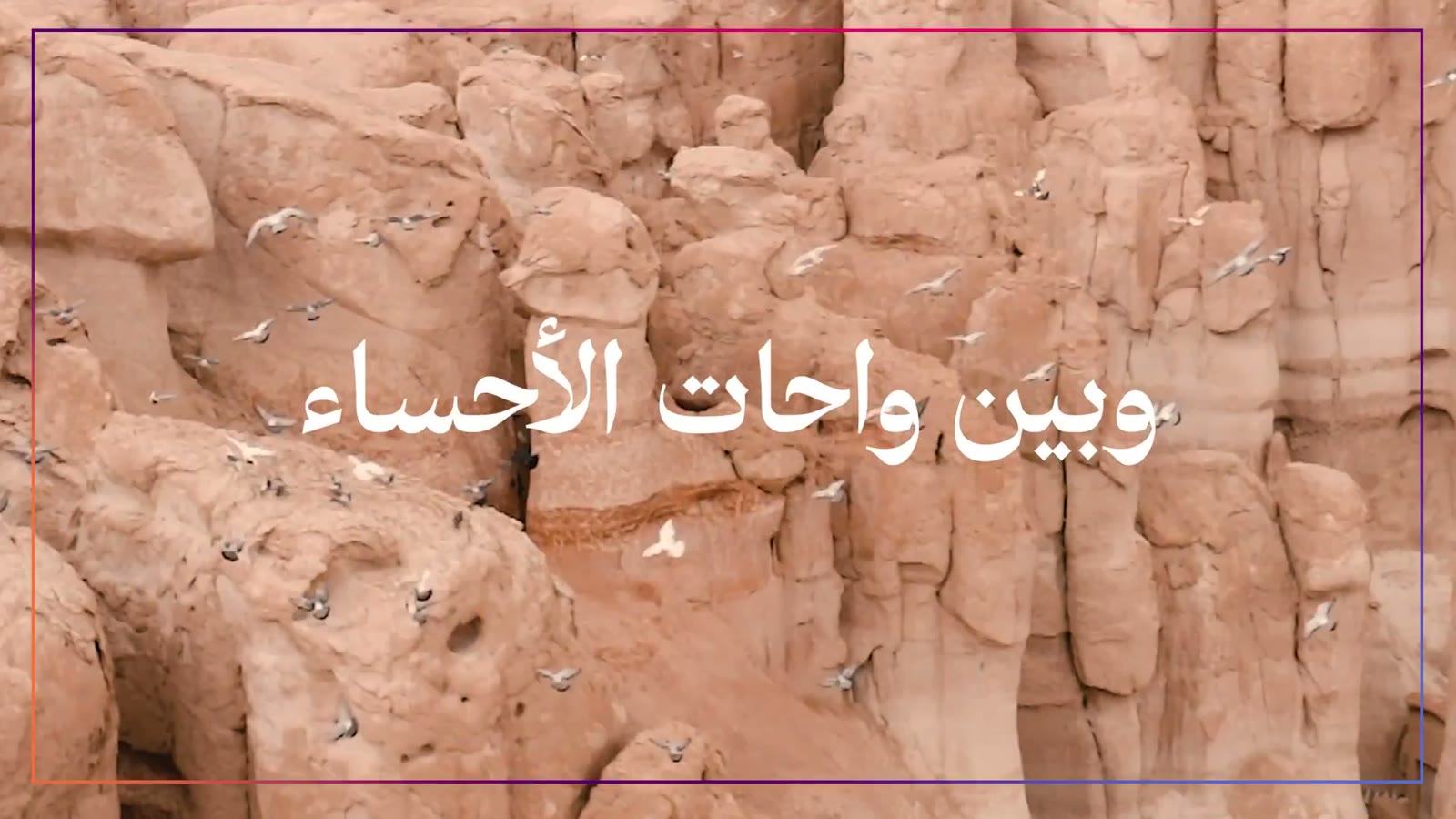 واحات الأحساء