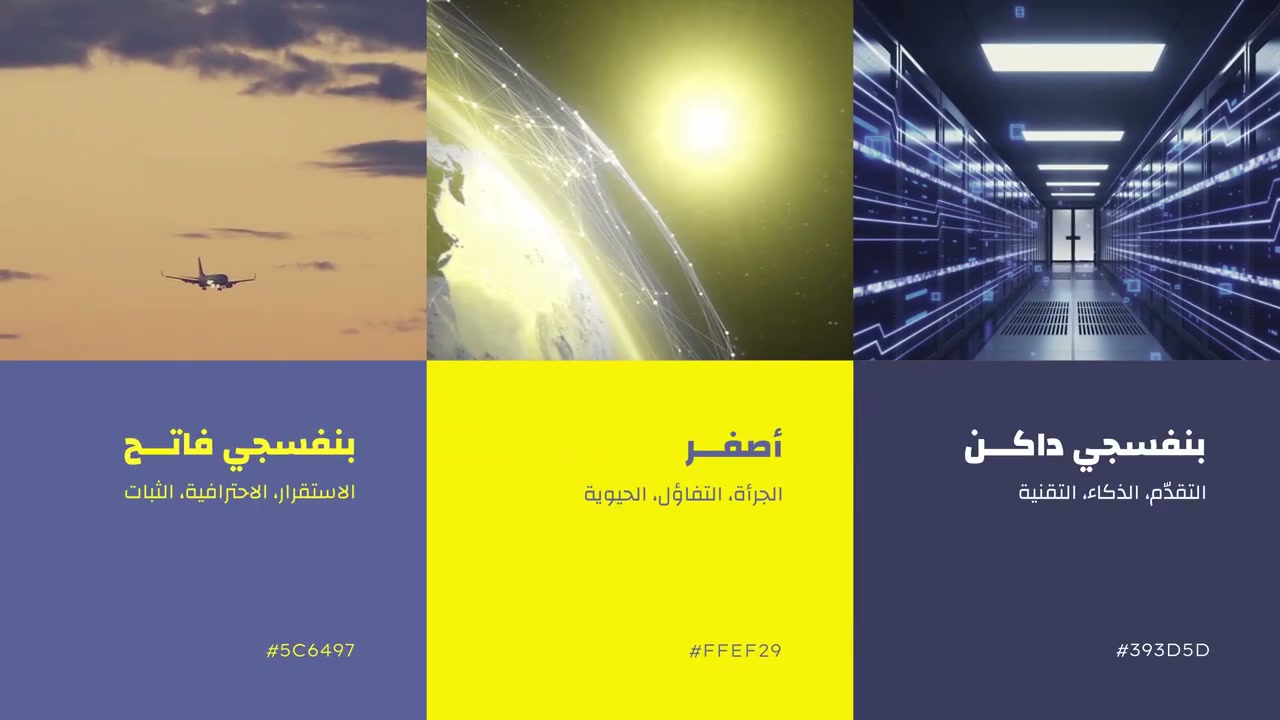 ألوان شركة نيرا